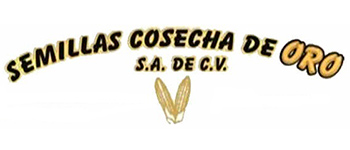 Cosecha Semillas de Oro